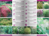 KATALOG BYLIN II Kwiaty, trawy i paprocie
